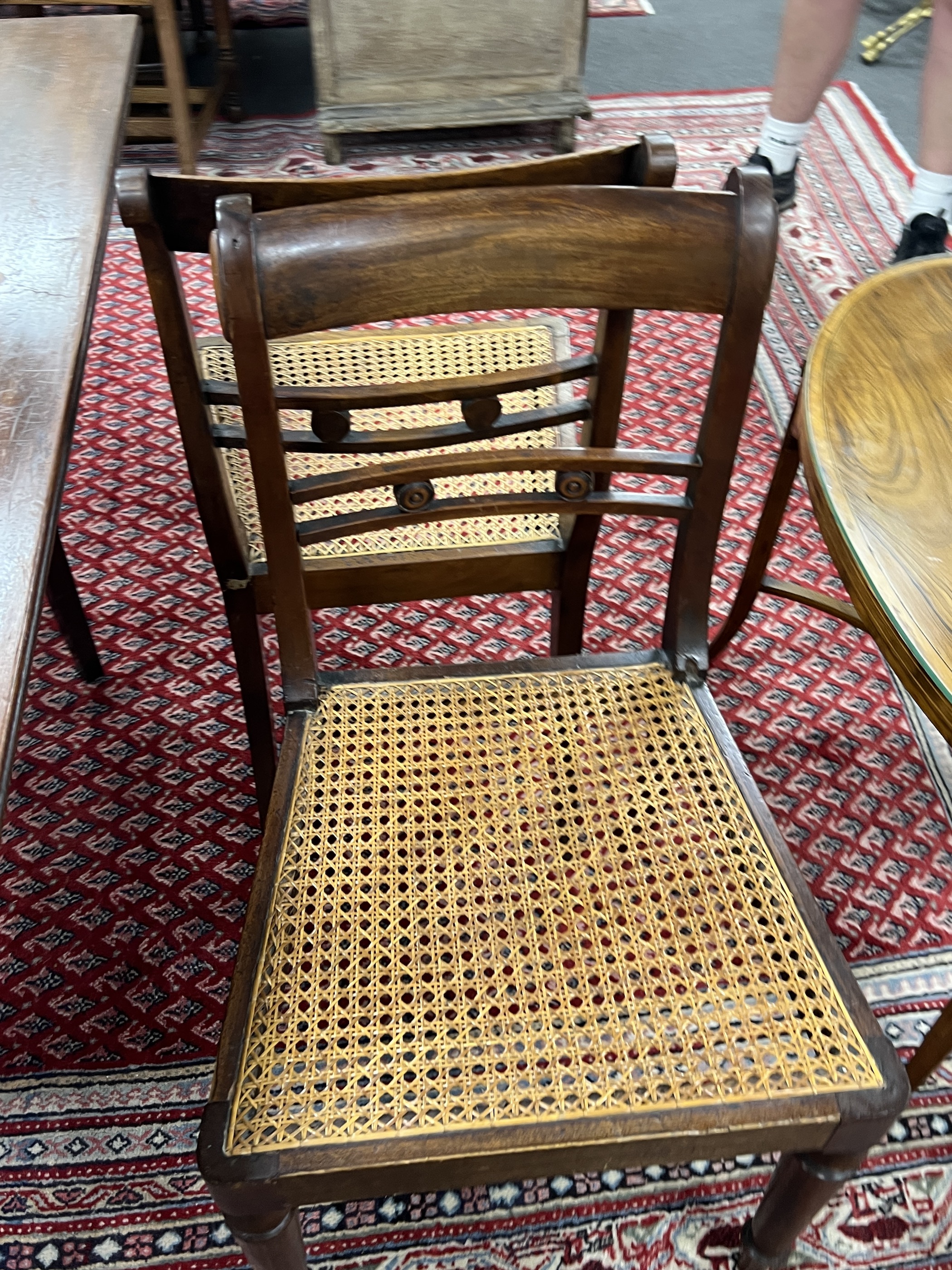 A set of six Regency style mahogany cane seat dining chairs and two later matching elbow chairs with arms